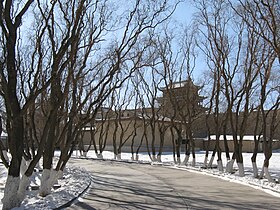 Weeping willow in Jiayu Pass