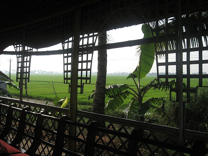 File:Kerala Houseboat View.JPG