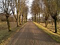 Road toward Bridvaišis in autumn