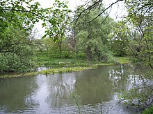 Tundzha River near Elhovo.jpg