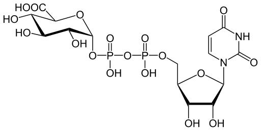 File:Uridine diphosphate glucuronic acid.svg