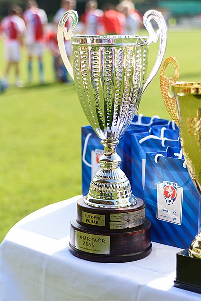 File:Czech Cup (women) 20190525.jpg