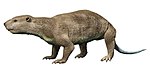 Didelphodon