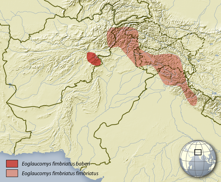 Файл:Eoglaucomys fimbriatus distribution map.png