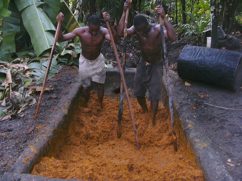 Файл:Palm oil processing.JPG