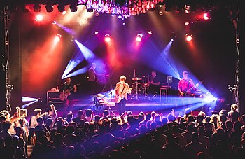 Self performing in support of the album at the El Rey Theatre in 2014.