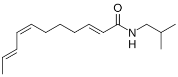 (2E,7Z,9E)-Undeca-2,7,9-trienoic acid isobutyl amide, another alkylamide from Acmella oleracea