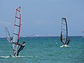 Windsurfistas