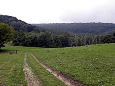 Valley near Chatel Chéhéry, France, where Sgt. York fought.