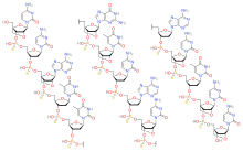 Miravirsen structure.svg