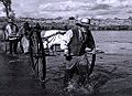 Mormon handcart pioneers crossing the Platte River, modern reenactment of 1856 expedition.