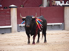 Toroencorrida.JPG