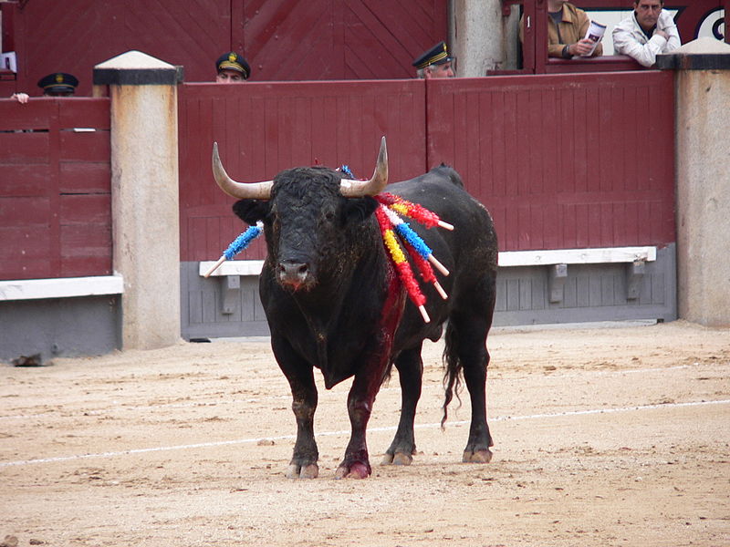 File:Toroencorrida.JPG