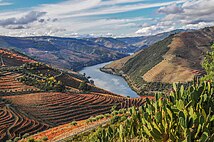 Alto Douro Vinhateiro