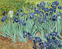 Vincent Van Gogh, "Irises", 1889