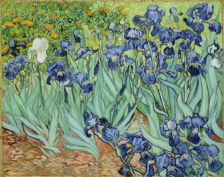 File:VanGoghIrises2.jpg