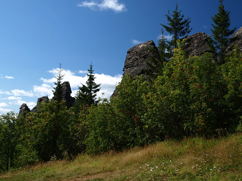 Файл:Колпаки, Пермский край.JPG