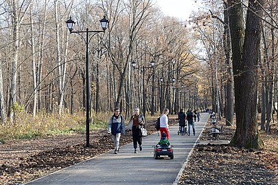 Городской парк