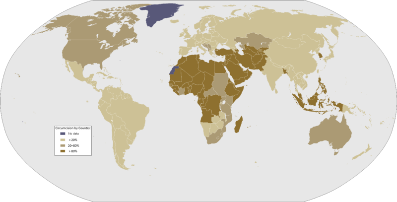 File:Circumcision by Country-2008-28-07.png