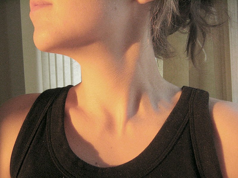 Файл:Female neck.jpg