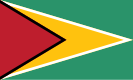 Flag of Guyana