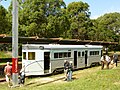 Phoenix class tram in the Royal National Park