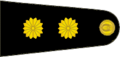 Insignia de teniente coronel del Ejército Argentino.