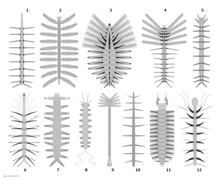 File:20210000 Lobopodia lobopodians lobopods.png