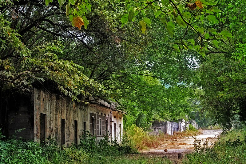 Файл:Armero casa.jpg