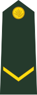 File:Bangladesh-army-OR-3.svg