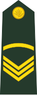 File:Bangladesh-army-OR-5.svg