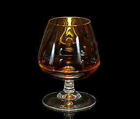 Cognac glass (on August 10, 2023)