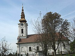 The Orthodox church