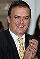  墨西哥外交部长 馬塞洛·埃夫拉德（英语：Marcelo Ebrard）（代洛佩斯·奥夫拉多尔总统出席）