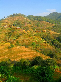 Crops and houses on the hills of Nagarkot