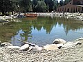 The Reflecting Pond