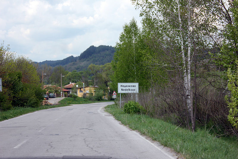 Файл:View of Nedelkovo.jpg