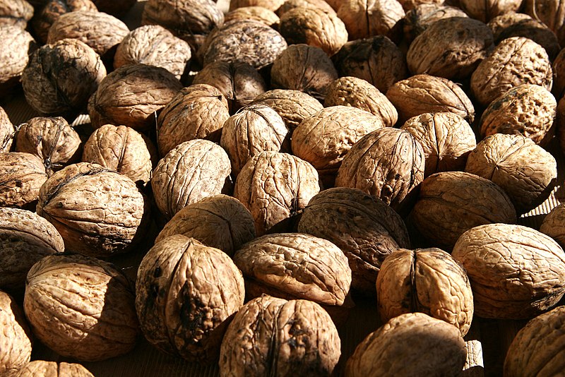 File:Walnuts02.jpg