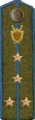 погон 1943