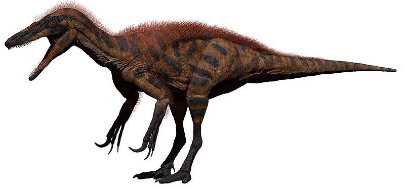 File:Australovenator Model.jpg