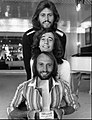 Image 46The British band The Bee Gees were one of the biggest musical acts of the 1970s leading the disco phenomenon (from 1970s in music)