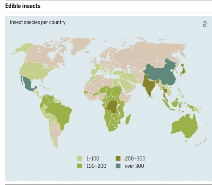 Archivo:Edible insects.png