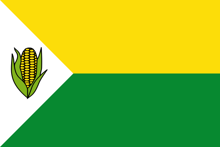 File:Flag of Pelaya (Cesar).svg