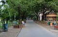 A walkway inside JU