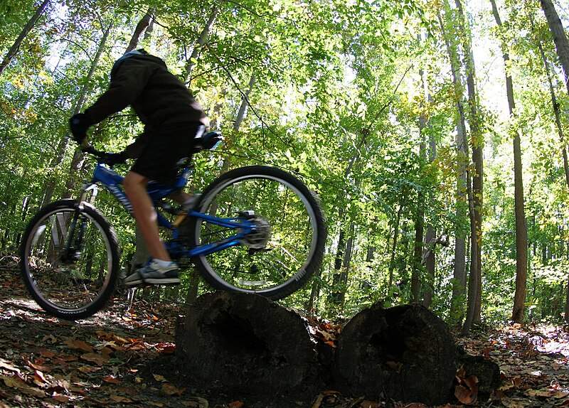 File:Log pile (trail feature).jpg