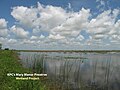 Katy Prairie Conservancy