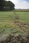 A fault's surface rupture right on a pasture in Sakarya