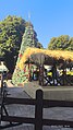 arbol navideño y pesebre valdivia 2024