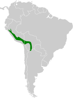 Distribución geográfica del birro alirrufo.