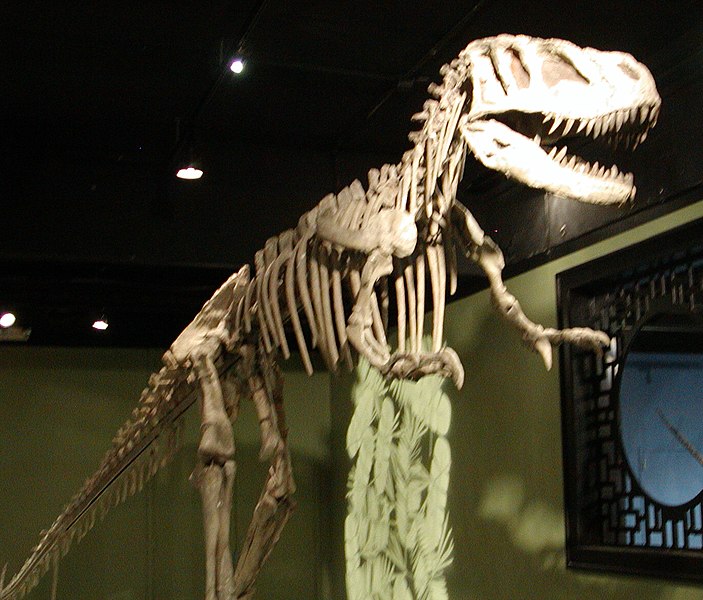 Файл:Sinraptor hepingensis.jpg